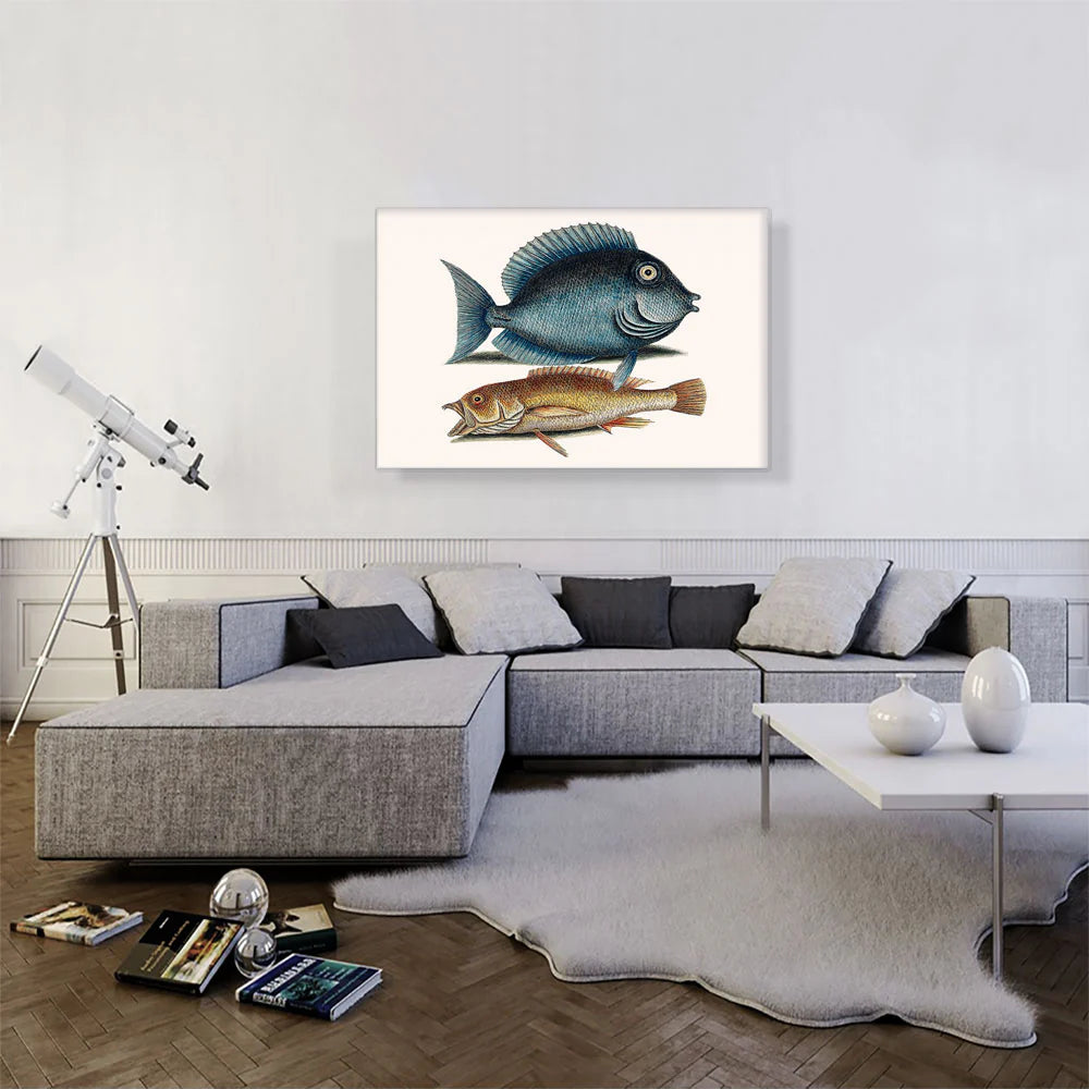 Tang Fish Yellow Fish