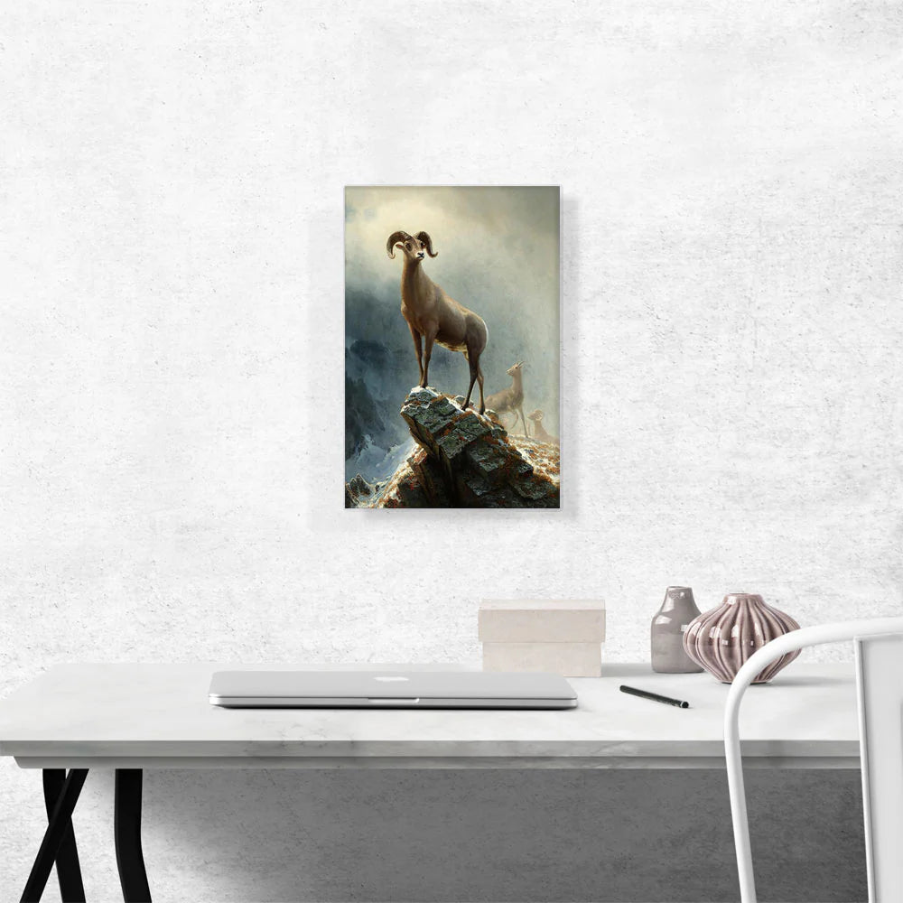 Rocky Mountain Big Horn Sheep 1882
