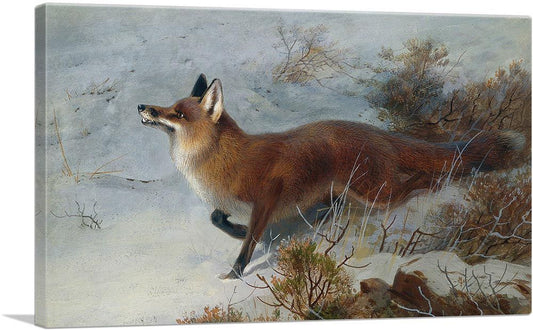 Fox Fox