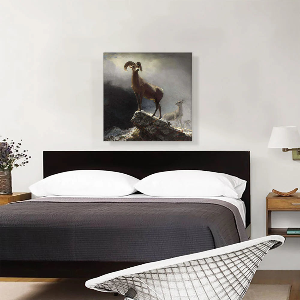 Rocky Mountain Big Horn Sheep 1884